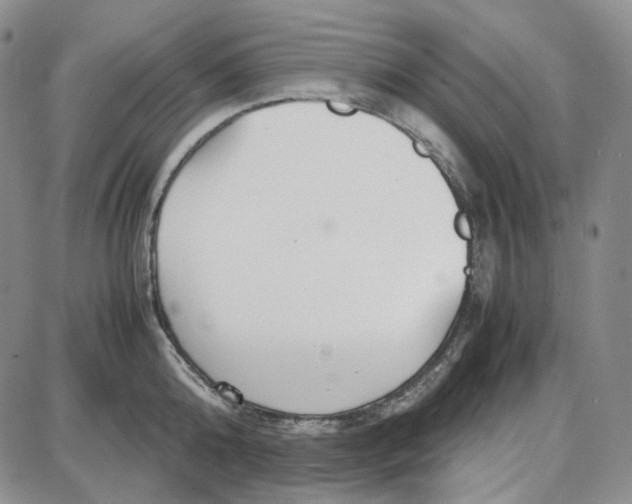 X0000087640808200705241238