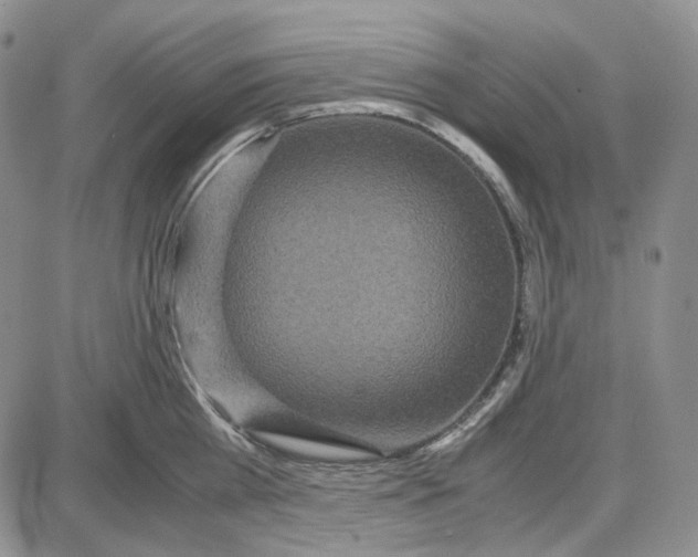 X0000087640809200705241238