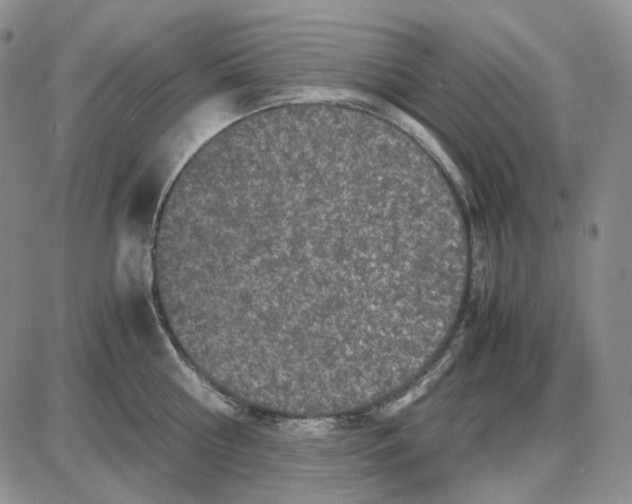 X0000087640810200705241238