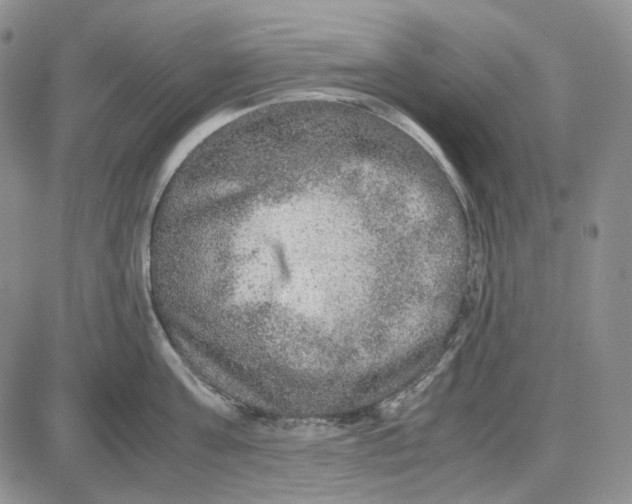 X0000087640811200705241238