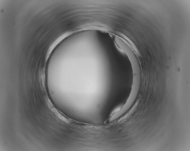 X0000087640812200705241238