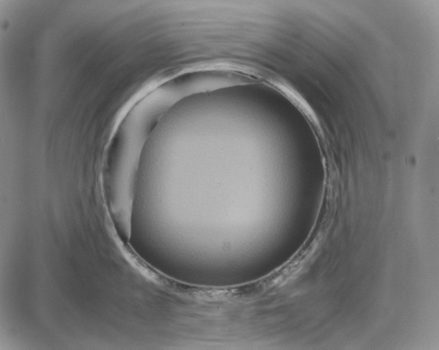 X0000087640813200705241238