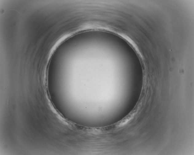 X0000087640815200705241238