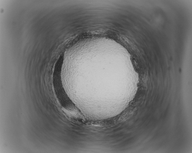 X0000087640817200705241237