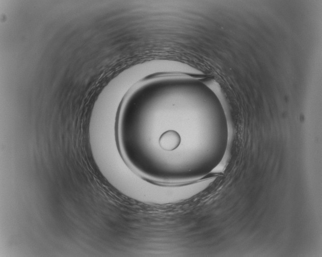 X0000087640818200705241237