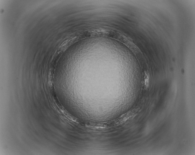 X0000087640819200705241237