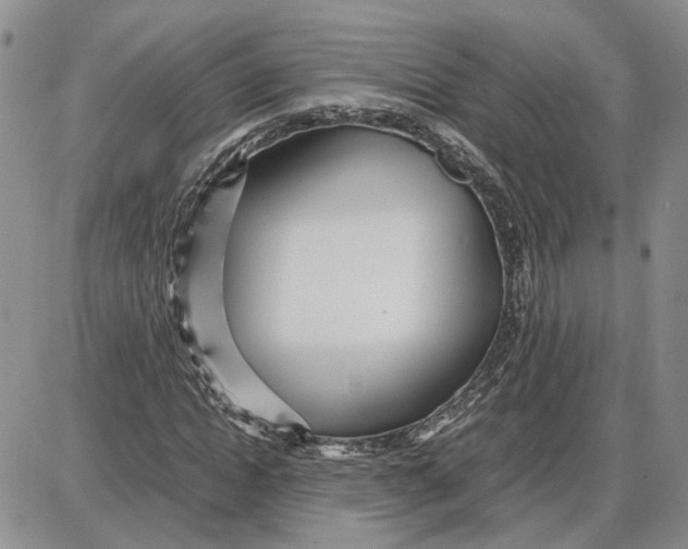 X0000087640822200705241237