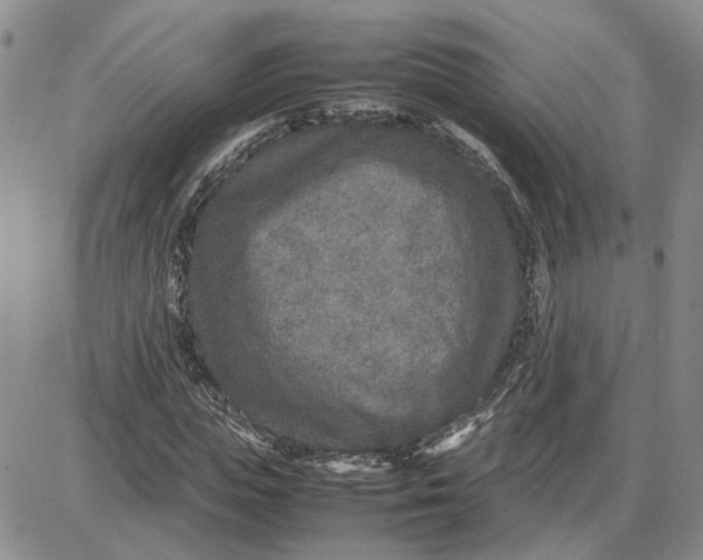 X0000087640823200705241237