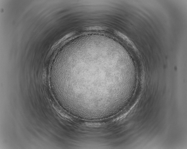 X0000087640825200705241237