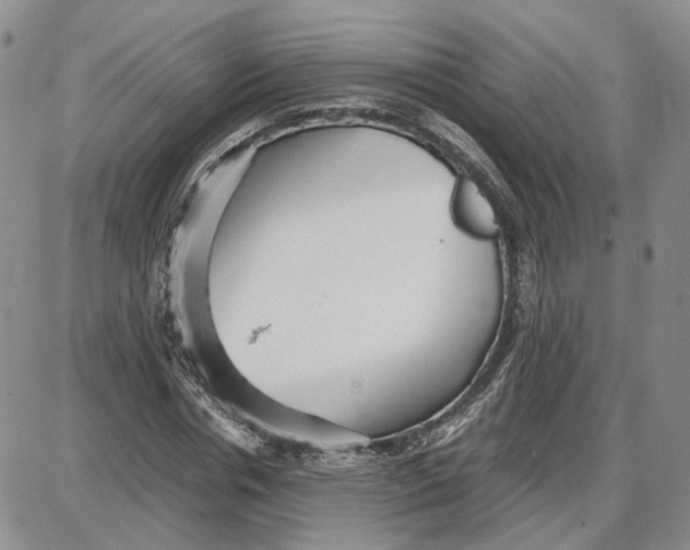 X0000087640826200705241237