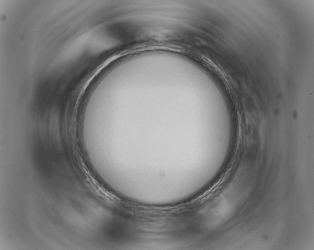 X0000087640828200705241237