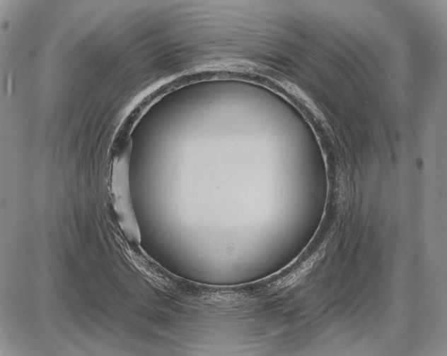 X0000087640830200705241237