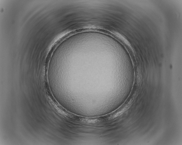 X0000087640831200705241237