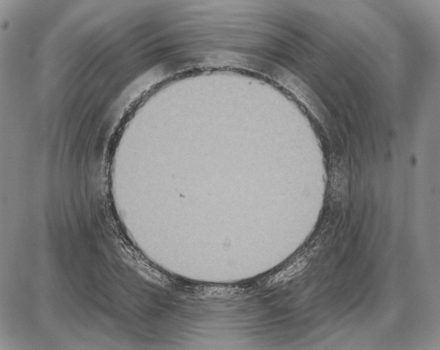 X0000087640832200705241237