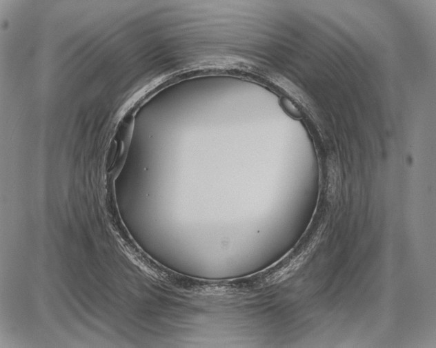 X0000087640834200705241237