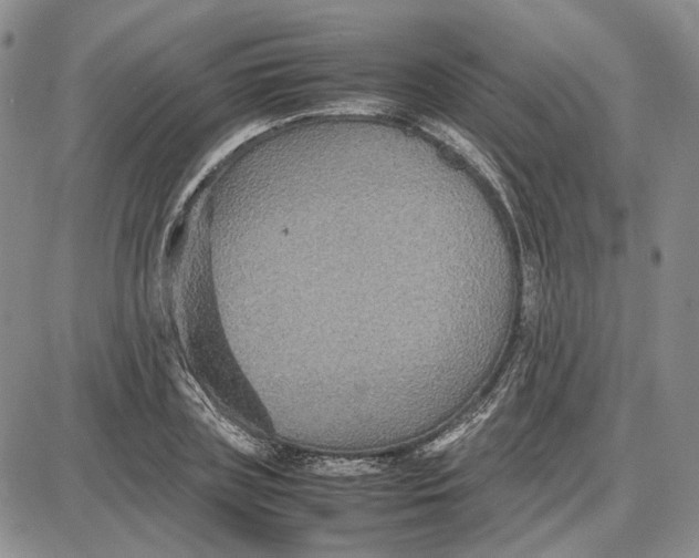 X0000087640835200705241238