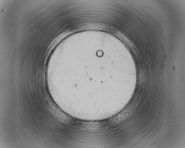 X0000087640836200705241238