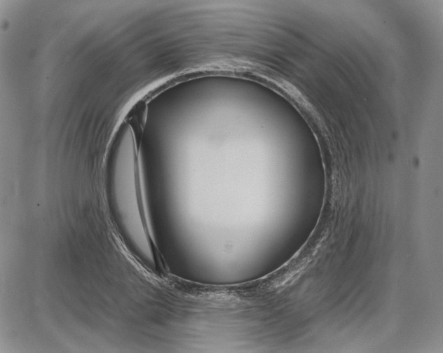 X0000087640838200705241238