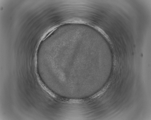 X0000087640840200705241238