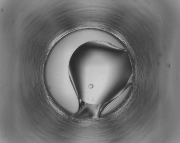 X0000087640842200705241238