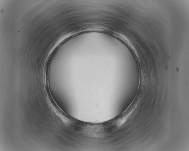 X0000087640843200705241238