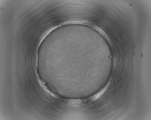 X0000087640844200705241238