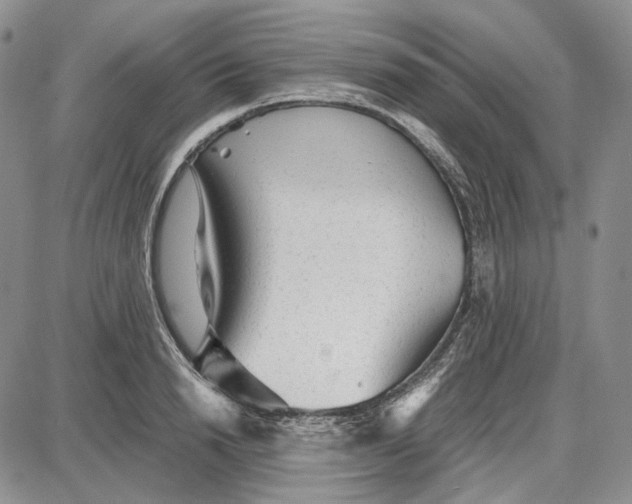 X0000087640846200705241238