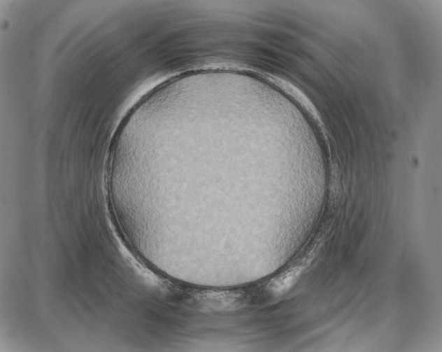 X0000087640847200705241238