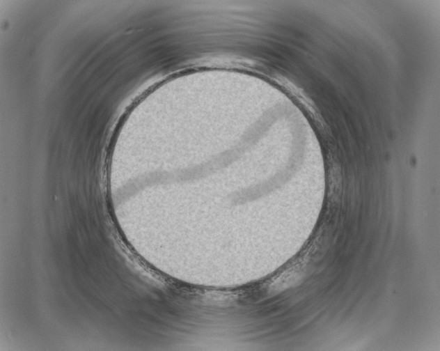 X0000087640848200705241238