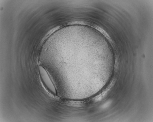 X0000087640849200705241238