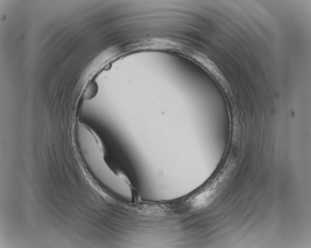 X0000087640850200705241238