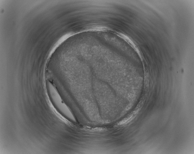 X0000087640851200705241238