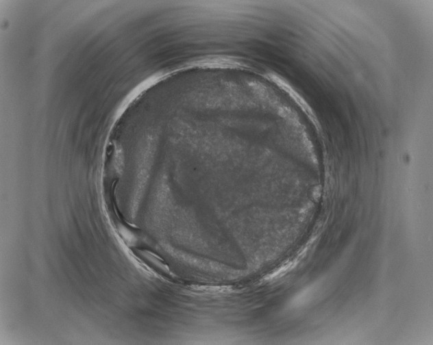 X0000087640853200705241238