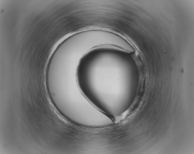 X0000087640854200705241238