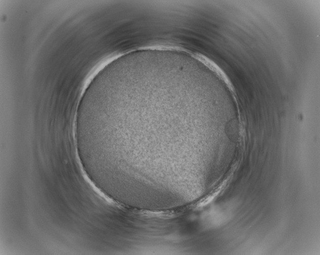 X0000087640855200705241238