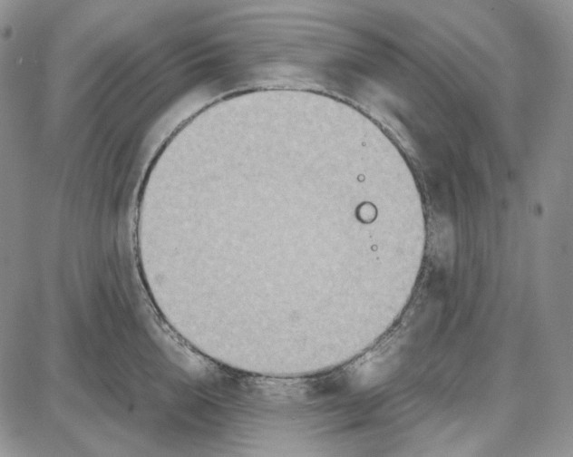 X0000087640856200705241238