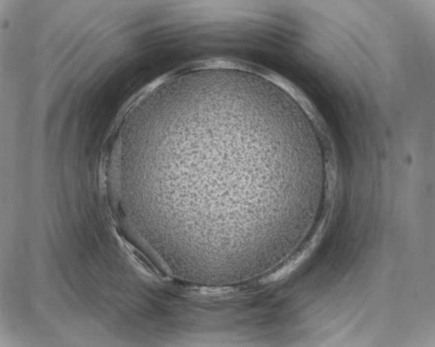 X0000087640857200705241238