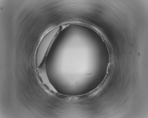 X0000087640858200705241238