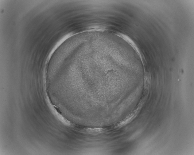 X0000087640859200705241238