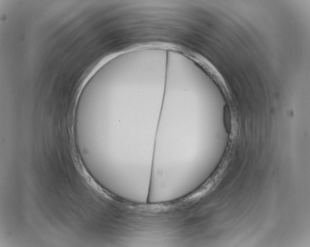 X0000087640860200705241238