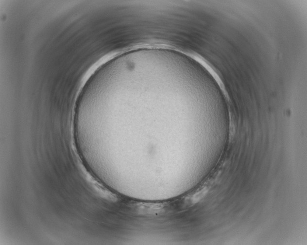 X0000087640861200705241238