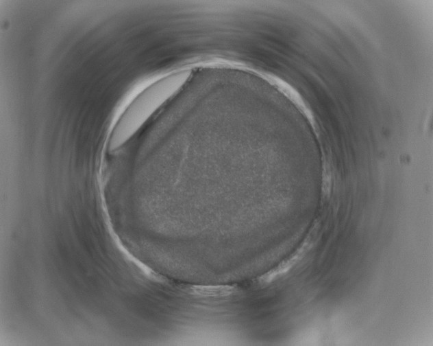 X0000087640863200705241238