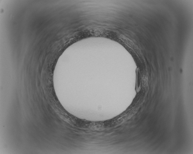 X0000087640865200705241237