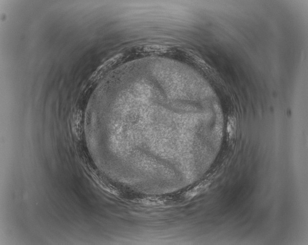 X0000087640867200705241237