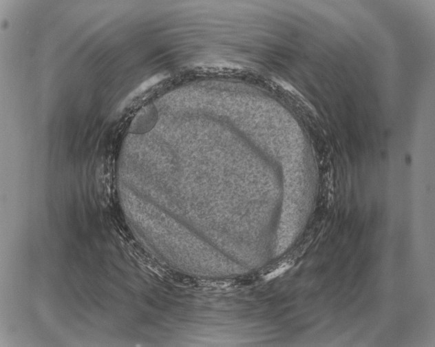 X0000087640870200705241237