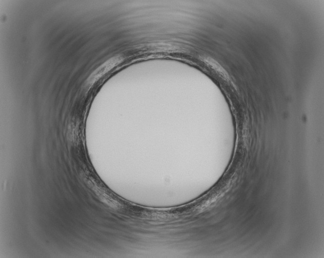 X0000087640873200705241237