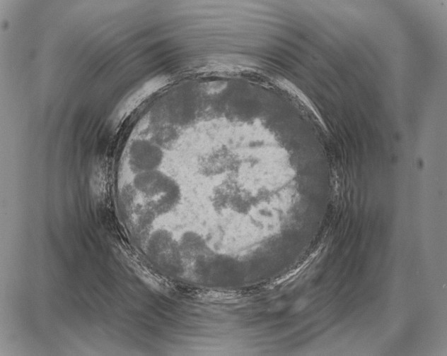 X0000087640874200705241237