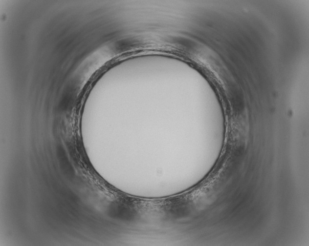 X0000087640875200705241237