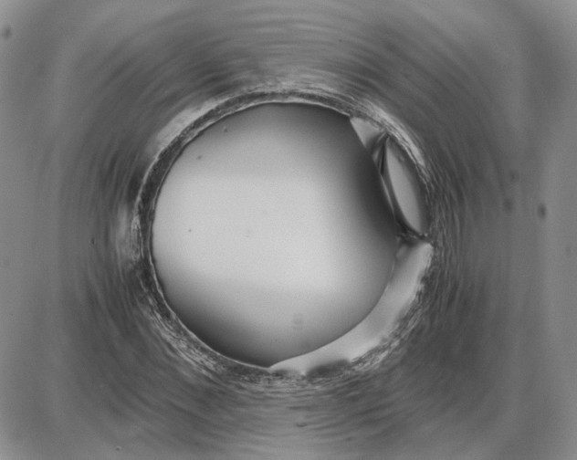 X0000087640876200705241237