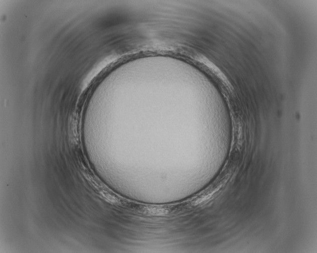 X0000087640878200705241237